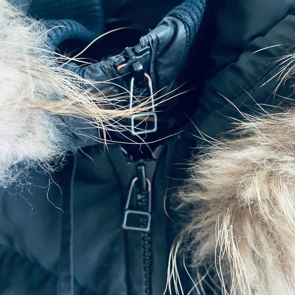 Rudsak Black Winter Puffer Jacket with Raccoon Fur Hood Black Size XS - Picture 5 of 9